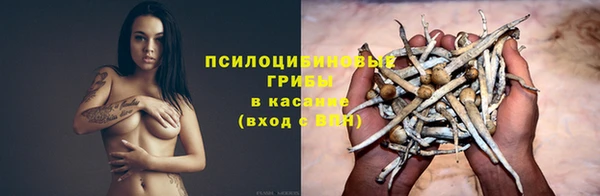 spice Белокуриха