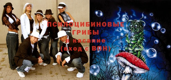 spice Белокуриха